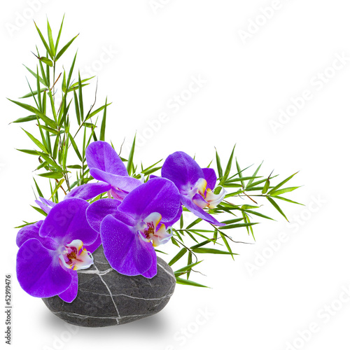 Fototapeta Naklejka Na Ścianę i Meble -  bambou et tige d'orchidée sur galet zen