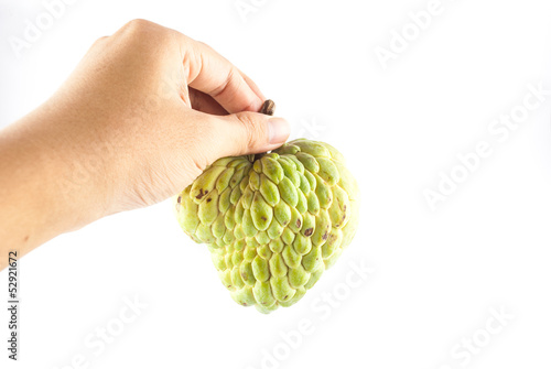 hand hangs a custard fruit photo