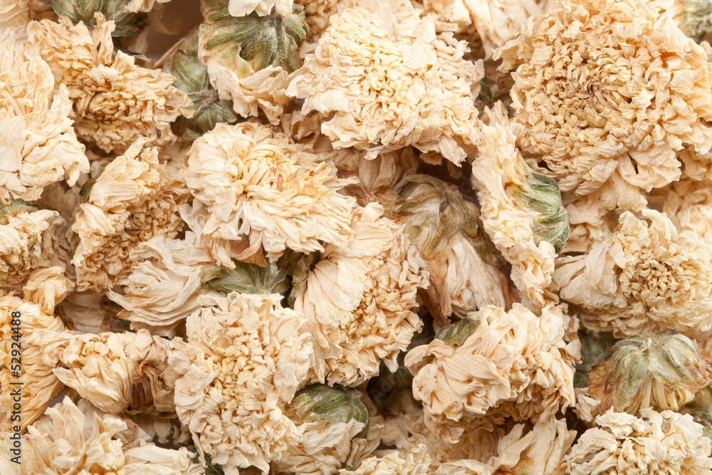 Dried Chrysanthemum Flowers Dried Chrysanthemum Flowers