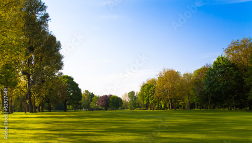 Green field and trees.