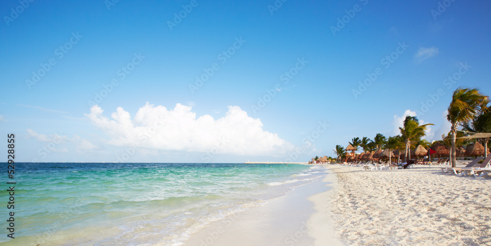 Fototapeta premium Beautiful tropical beach.