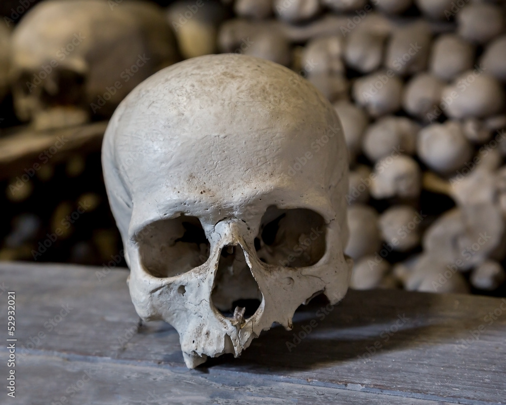 Human skulls Human skulls