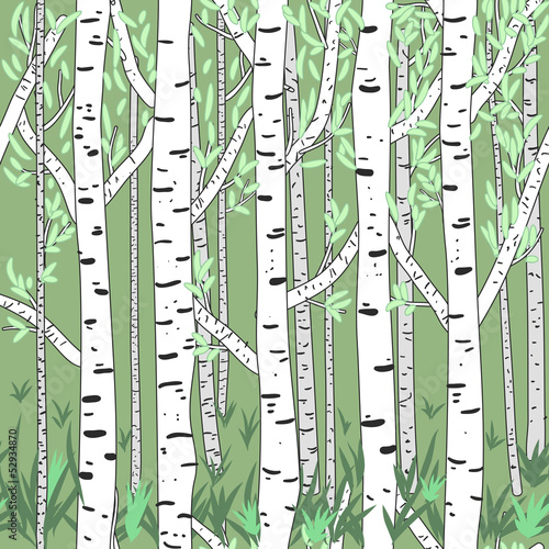 Forest
