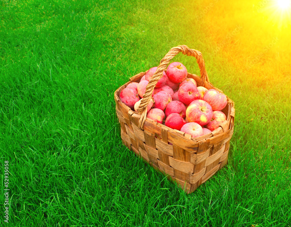 Crop of apples Crop of apples