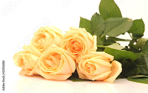 yellow rose bouquet isolated on white background