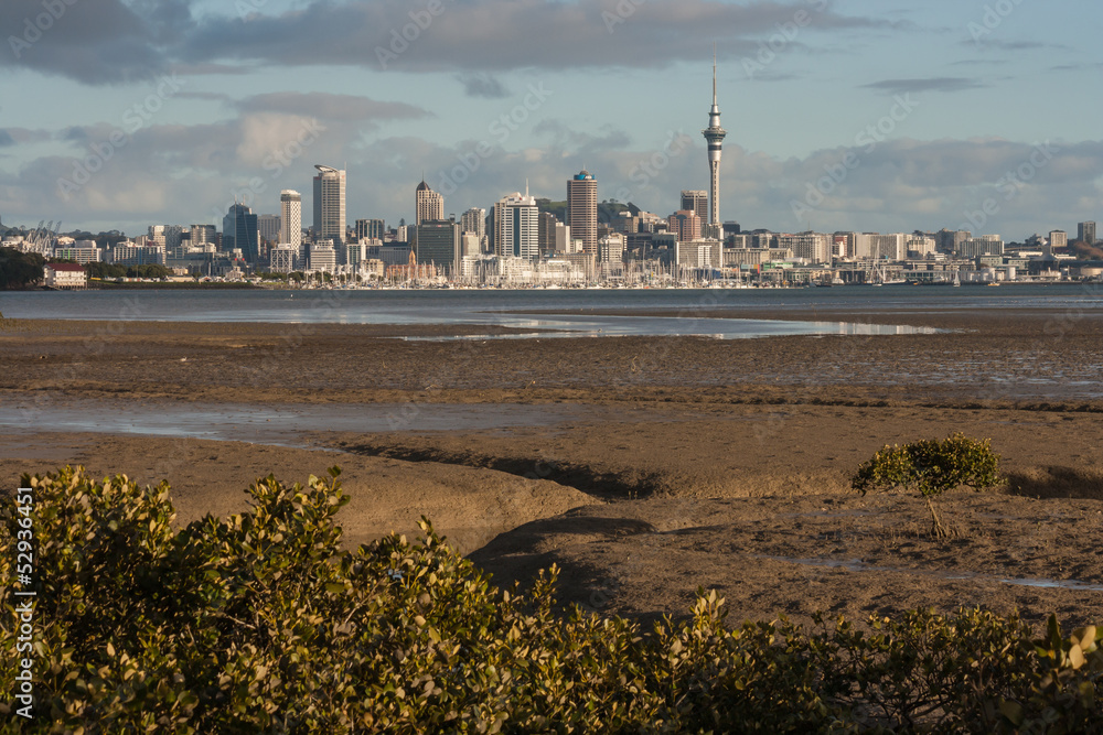 Naklejka premium Auckland panorama