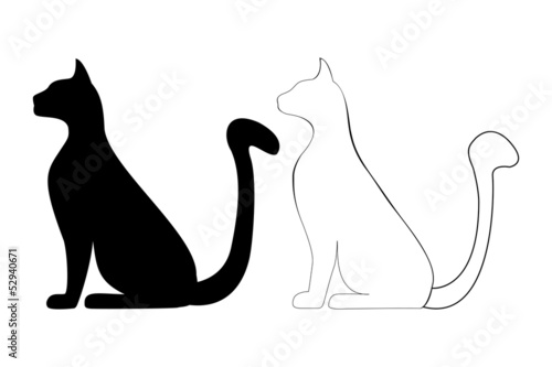 silhouette of a cat