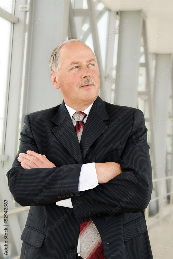Portrait of a mature handsome businessman Portrait of a mature handsome businessman