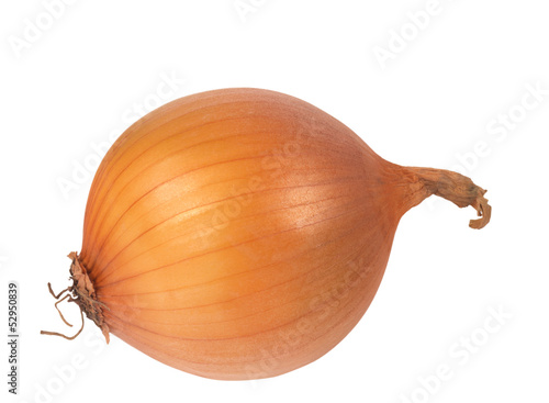 Onion