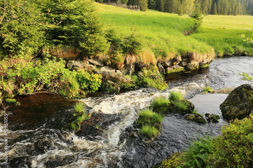 Creek from the green Wilderness in the spring Mountains, Czech