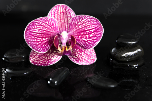 Still life with pebbles and gorgeous orchid