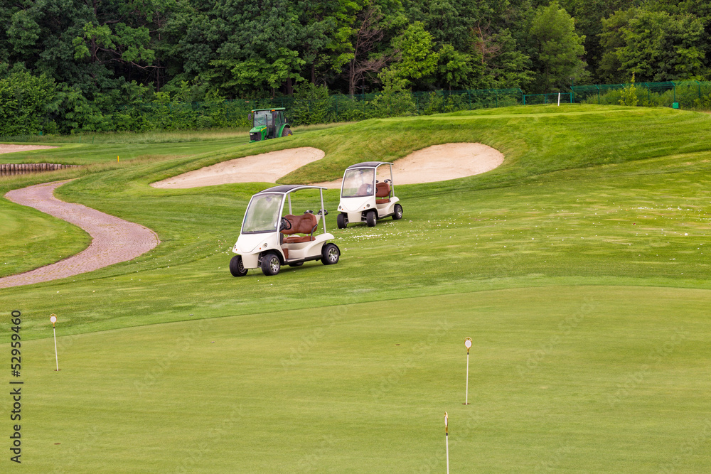 Obraz premium Perfect wavy grass on a golf field