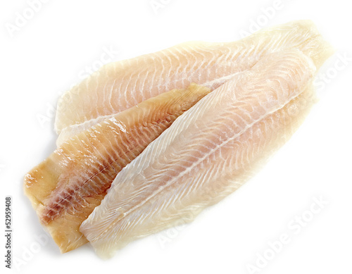various fresh raw fish fillet photo