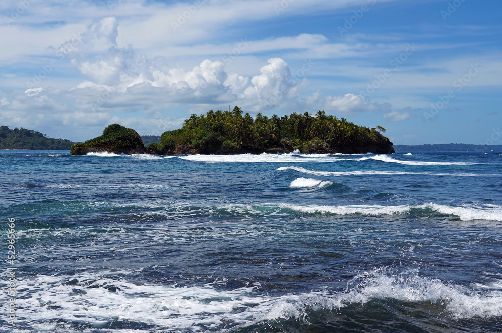 Wild tropical island with lush vegetation, Bocas del Toro, Bastimentos, Central America, Panama