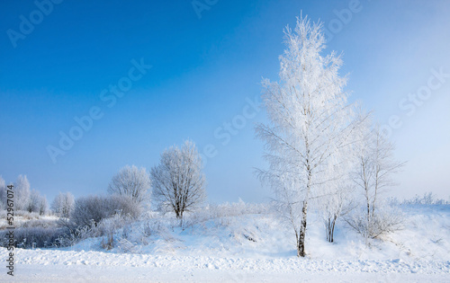 beautiful winter landscape © Maya Kruchancova