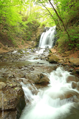 Waterfall of fresh green  Asamaootaki  Gunma  Japan