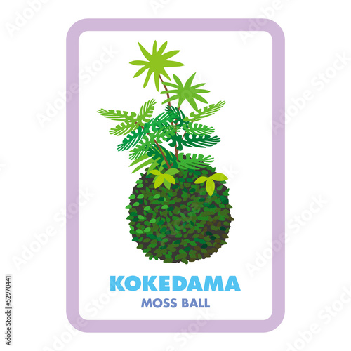 kokedama
