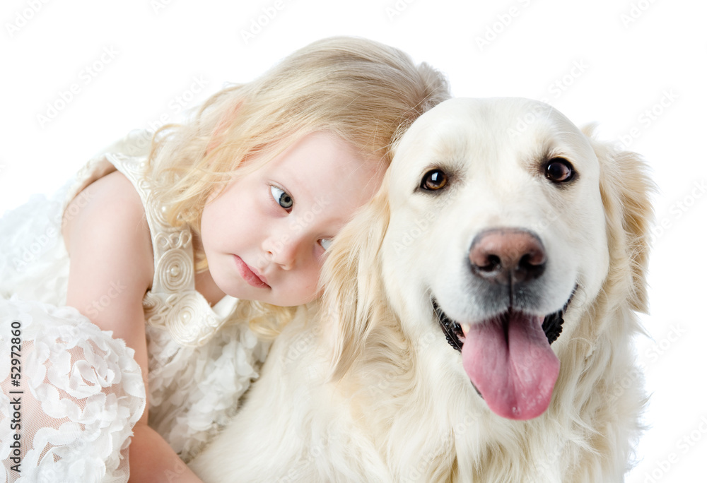 close up Golden Retriever and girl. looking at camera. isolated close up Golden Retriever and girl. looking at camera. isolated