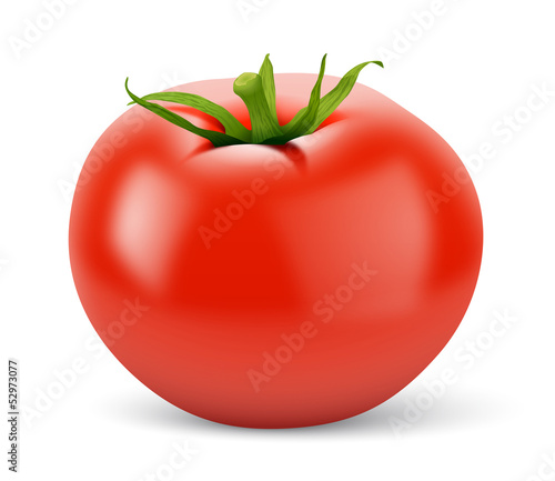 Tomate vectorielle 1