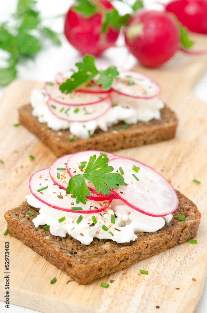 grain bread with soft cheese, radish and greens