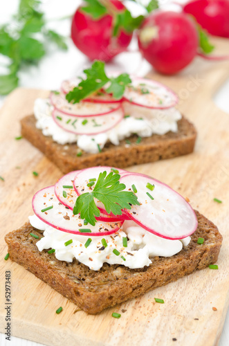 grain bread with soft cheese, radish and greens