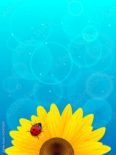 Sunflower and ladybird on blue background.