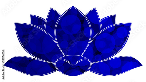 lotus bleu hexagone