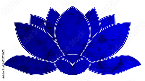 lotus bleu hexagone