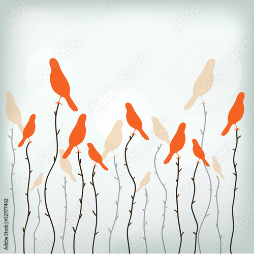 paradise birds on the branches vector