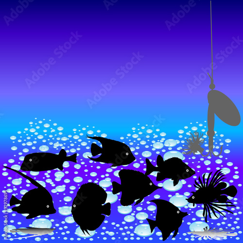 fish underwater vector