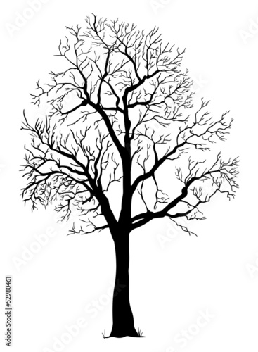 vector black silhouette of a bare tree