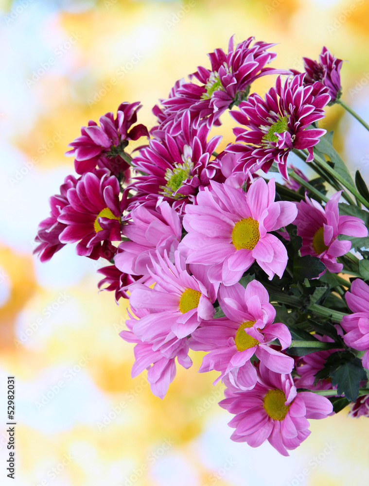 Bouquet of beautiful chrysanthemums on bright background