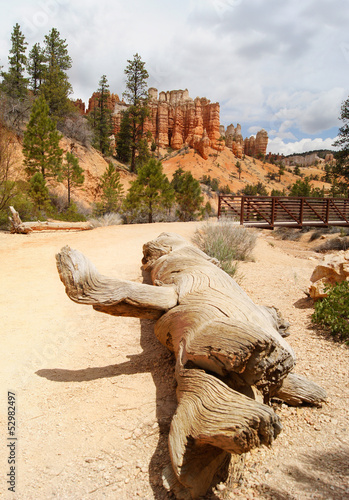 Bryce Canyon national park in USA