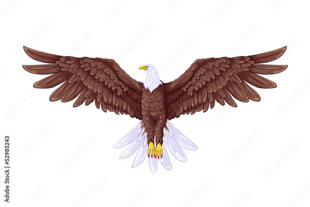 Fototapeta premium Flying Eagle
