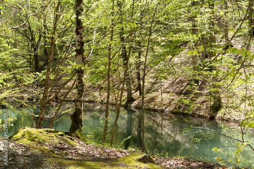 Lake and Forest in Bolu