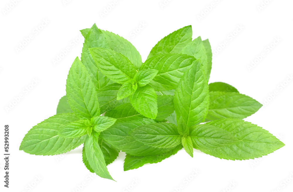 mint mint