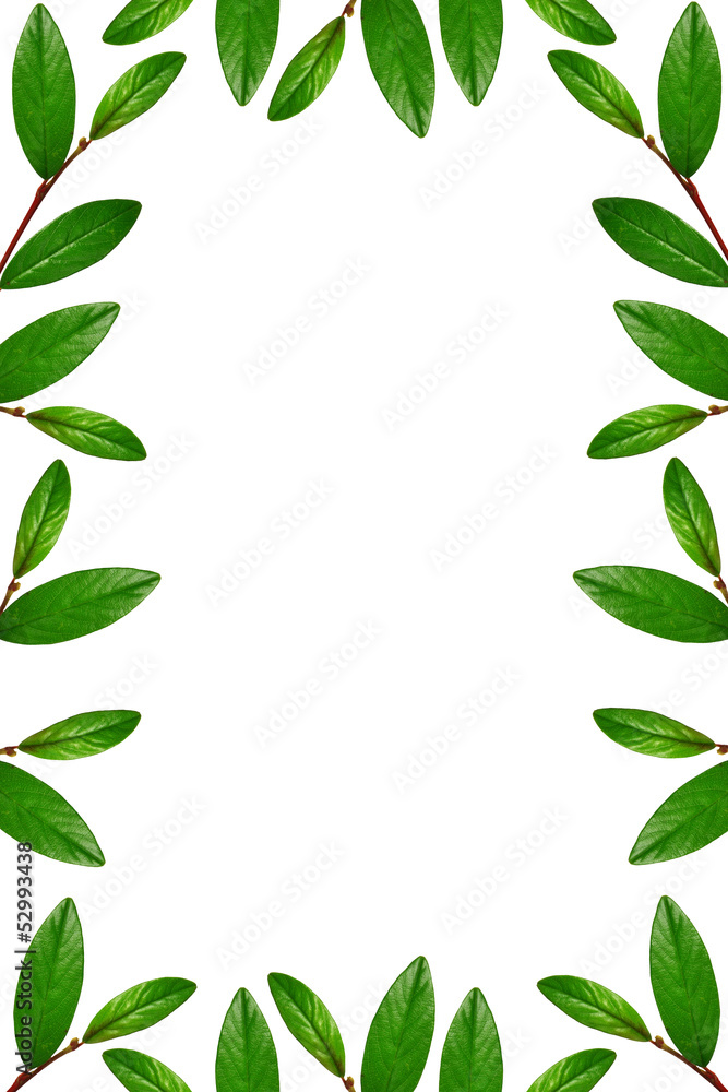 Green leaves frame Green leaves frame