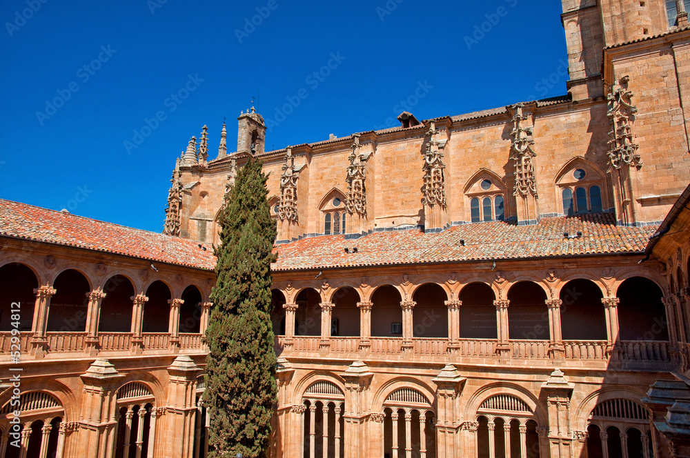 Cloister of the cathedral of Salamanca
