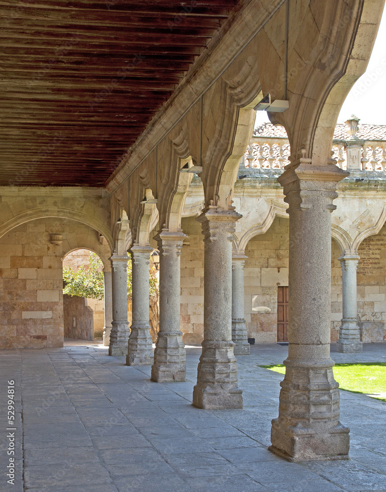 Cloister of the cathedral of Salamanca