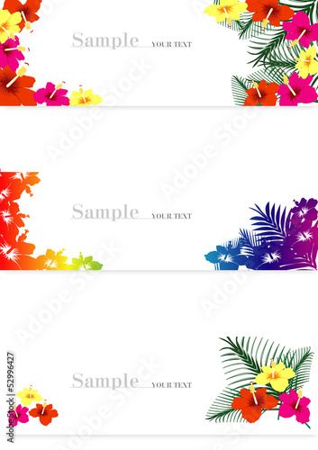 ハイビスカス　背景