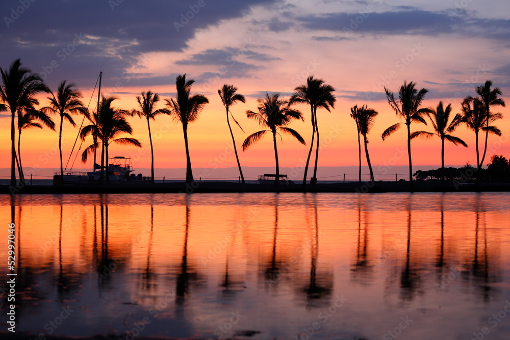 Paradise beach sunset tropical palm trees