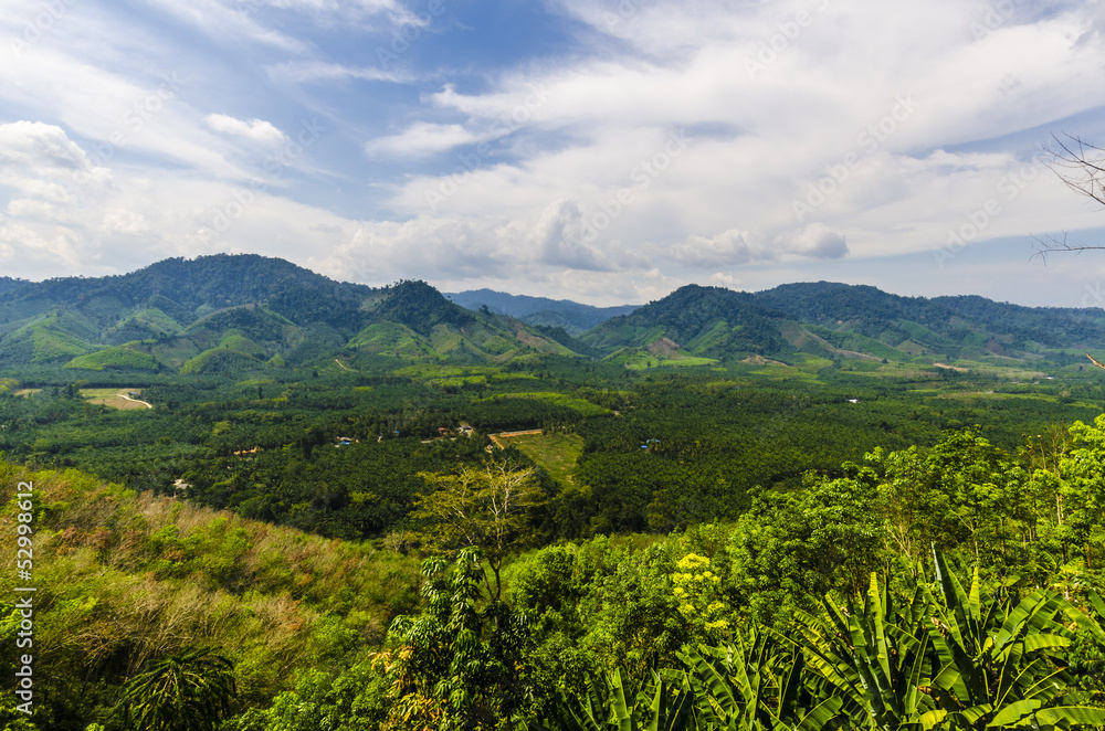 Landscape with forest and mountains in Thailand. tropics