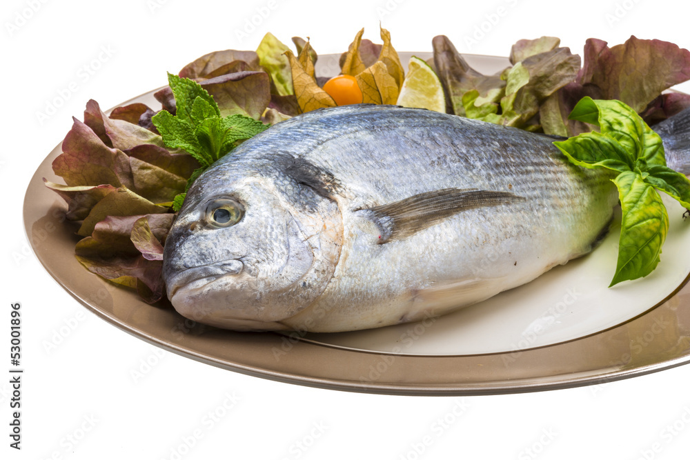 Fresh raw dorada Fresh raw dorada