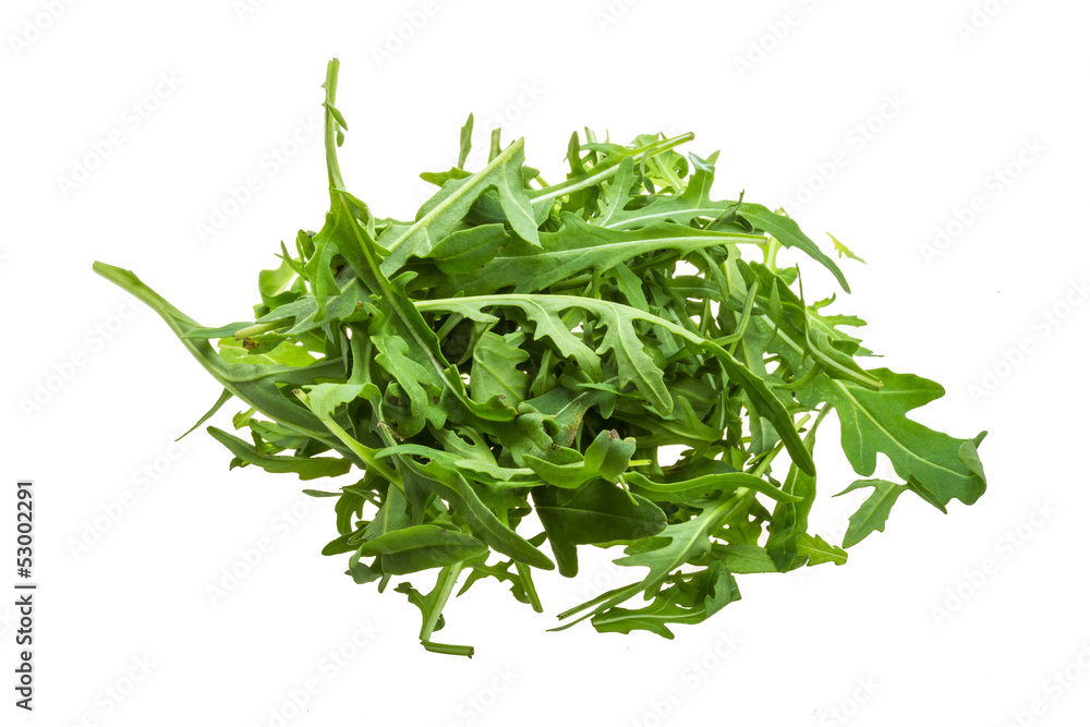 Ruccola Ruccola