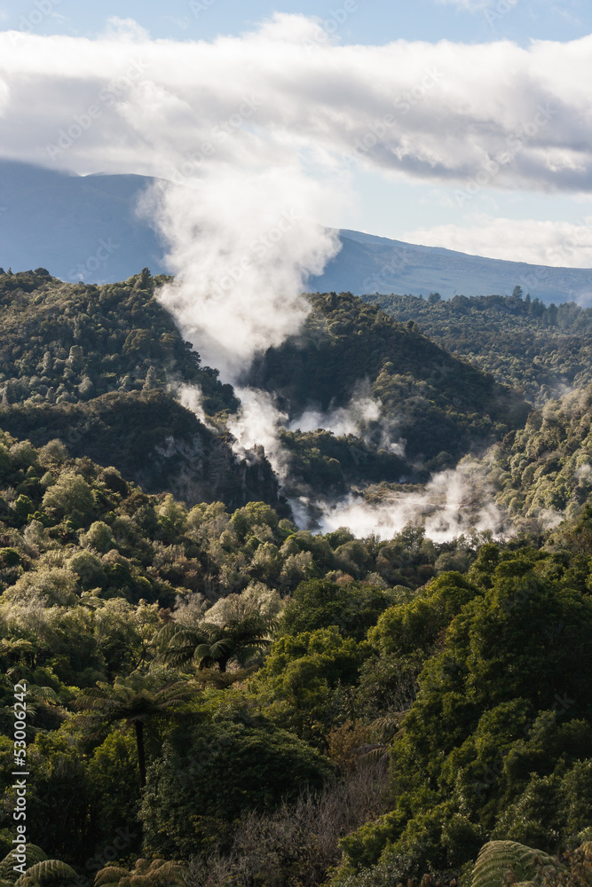 volcanoes in thermal valley in Rotorua