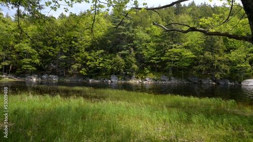 Lake in Forest photo