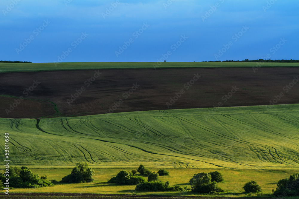 Eastearn European countryside and evening light in summer