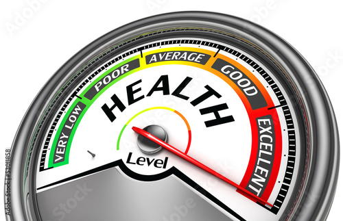 health level conceptual meter