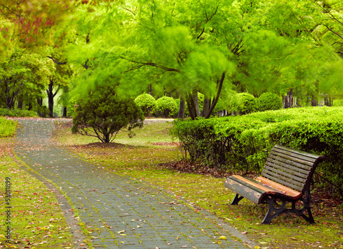 Photography Green city park. Shanghai, China