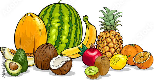 tropical fruits cartoon illustration